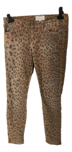 sc:/1/3/1338bb67-28df-4002-888e-b6ef03ee4957_clipped_rev_1.png