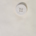 sc:/d/s/dsc_0058-photoroom_5_3.jpg