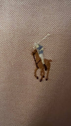 sc:/i/m/img_9183_1_1.jpeg